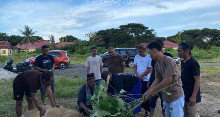 Pelaksanaan Pemotongan Hewan Quban di Halaman Graha NU Pohuwato