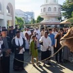 Gubernur Gusnar Ismail menyerahkan Bantuan Sapi Qurban Limosin bobot 1 ton 86 kilogram, oleh Presiden Prabowo Subianto kepada Takmirul Masjid Agung Baiturrahim Kota Gorontalo, setelah melaksnakan Sholat Idh Adha 1446 H