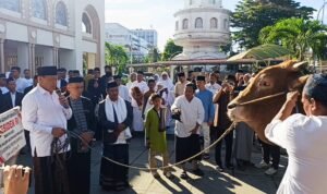 Gubernur Gusnar Ismail menyerahkan Bantuan Sapi Qurban Limosin bobot 1 ton 86 kilogram, oleh Presiden Prabowo Subianto kepada Takmirul Masjid Agung Baiturrahim Kota Gorontalo, setelah melaksnakan Sholat Idh Adha 1446 H