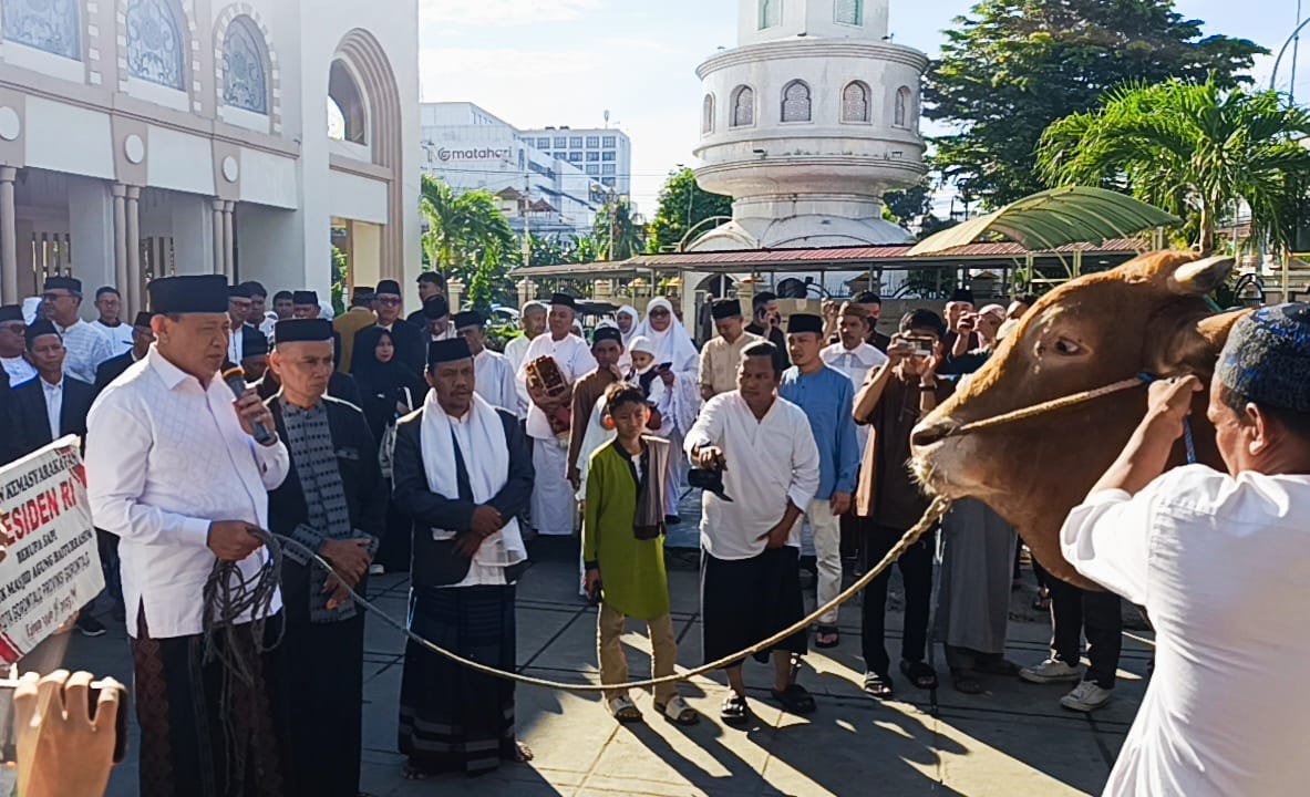Gubernur Gusnar Ismail menyerahkan Bantuan Sapi Qurban Limosin bobot 1 ton 86 kilogram, oleh Presiden Prabowo Subianto kepada Takmirul Masjid Agung Baiturrahim Kota Gorontalo, setelah melaksnakan Sholat Idh Adha 1446 H