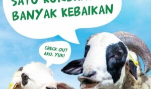 Ilustrasi Hewan Qurban. (Foto: Dompet Dhuafa)