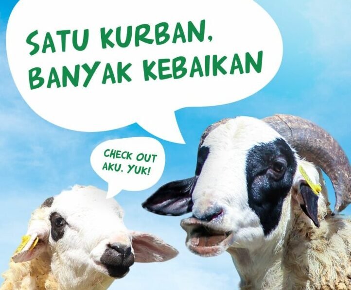 Ilustrasi Hewan Qurban. (Foto: Dompet Dhuafa)